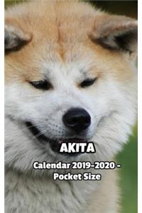Akita Calendar 2019-2020 - Pocket Size