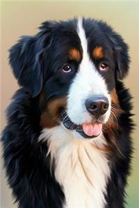 Bernese