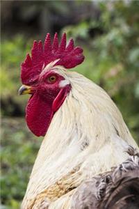 The Rooster Garden Journal