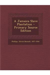 A Jamaica Slave Plantation - Primary Source Edition