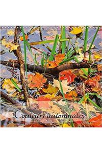 Couleurs Automnales 2017