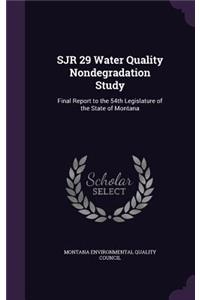 Sjr 29 Water Quality Nondegradation Study