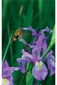 Petite Wild Blue Iris Journal