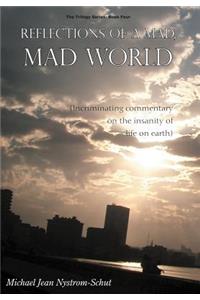 Reflections of a Mad, Mad World