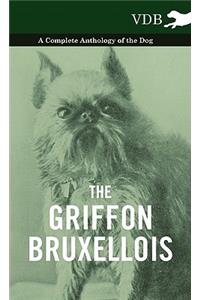 The Griffon Bruxellois - A Complete Anthology of the Dog