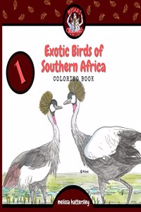 Exotic Birds of Southern Africa