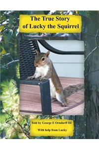 Lucky the Squirrel