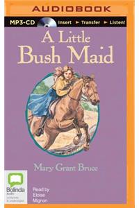 Little Bush Maid