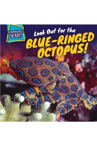 Look Out for the Blue-Ringed Octopus!