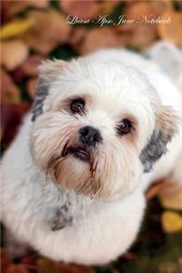 Lhasa Apso June Notebook Lhasa Apso Record, Log, Diary, Special Memories, To Do List, Academic Notepad, Scrapbook & More