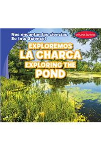 Exploremos La Charca / Exploring the Pond