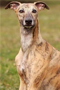 Say Hello to the Whippet Dog Journal