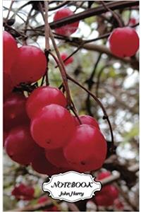 Notebook Journal Dot-grid, Graph, Lined, Blank No Lined - Cherries: Small Pocket Notebook Journal Diary