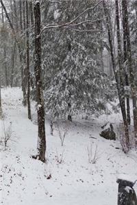 Journal Winter Scene Evergreens Trees