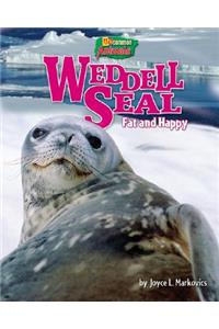 Weddell Seal