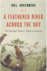 A Feathered River Across the Sky