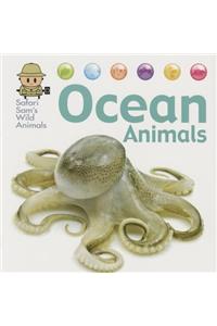 Ocean Animals