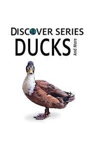 Ducks