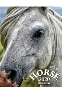 The Horse 2020 Calendar