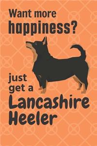 Want more happiness? just get a Lancashire Heeler