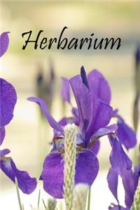 Herbarium