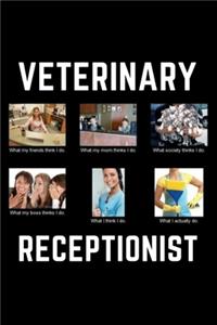 Veterinarian Receptionist