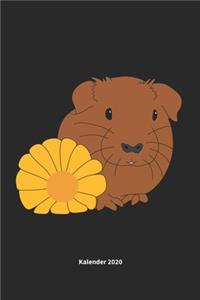 Meerschweinchen mit Blume