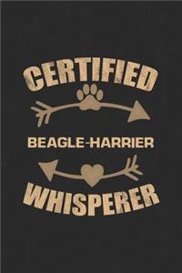 Certified Beagle-Harrier Whisperer
