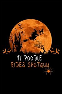 my poodle Rides Shotgun