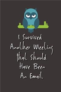 I Survived Another Meeting That Should Have Been An Email.