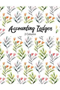 Accounting Ledger 2 Column