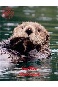 Sea Otter Sketchbook
