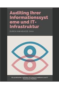 Auditing Ihrer Informationssysteme Und It-Infrastruktur