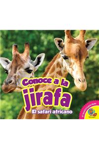 Conoce a la Jirafa