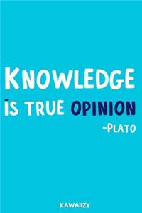 Knowledge Is True Opinion - Plato
