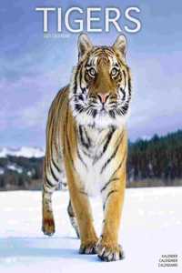 Tigers 2021 Wall Calendar