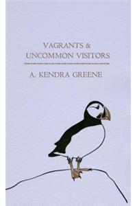 Vagrants & Uncommon Visitors