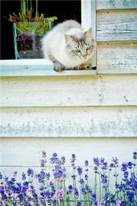 Cat in a Cottage Window Journal