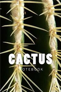 Cactus