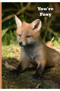 You're Foxy