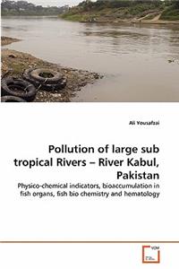 Pollution of large sub tropical Rivers - River Kabul, Pakistan
