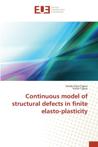 Continuous model of structural defects in finite elasto-plasticity