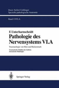 Pathologie Des Nervensystems VI.a