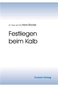 Festliegen beim Kalb