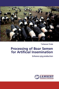 Processing of Boar Semen for Artificial Insemination