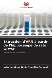 Extraction d'ARN à partir de l'hippocampe de rats wistar
