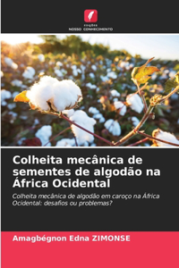 Colheita mecânica de sementes de algodão na África Ocidental