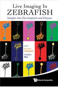 Live Imaging in Zebrafish: Insights Into Development and Disease