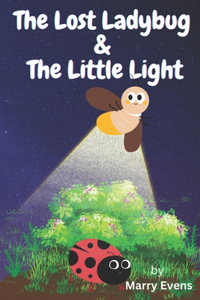The Lost Ladybug and the Little Light