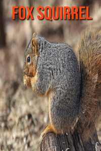 Fox Squirrel